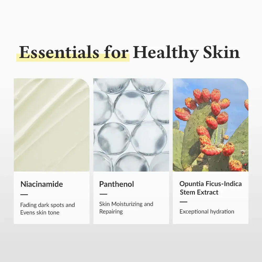 Essentials for healthy skin: Niacinamide for even tone, Panthenol for hydration, and Opuntia Ficus-Indica for moisture.