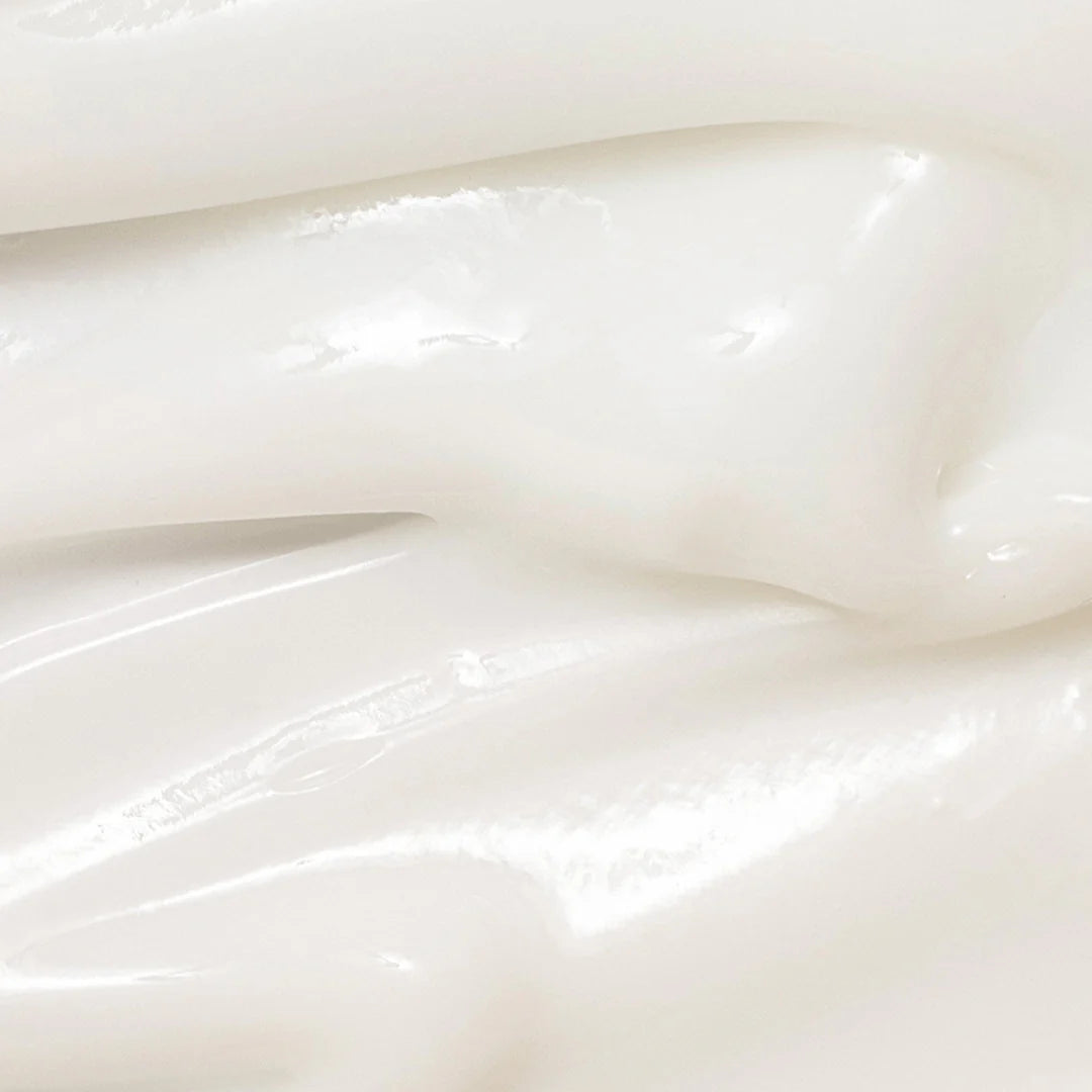 Close-up of Beauty of Joseon Dynasty Cream's rich and glossy cream texture, ideal for deep hydration and nourishment.