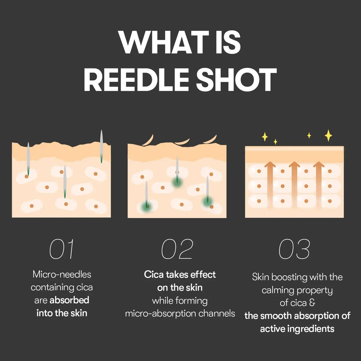 Infographic explaining how Reedle Shot micro-needles assist skin absorption and enhance active ingredient delivery.